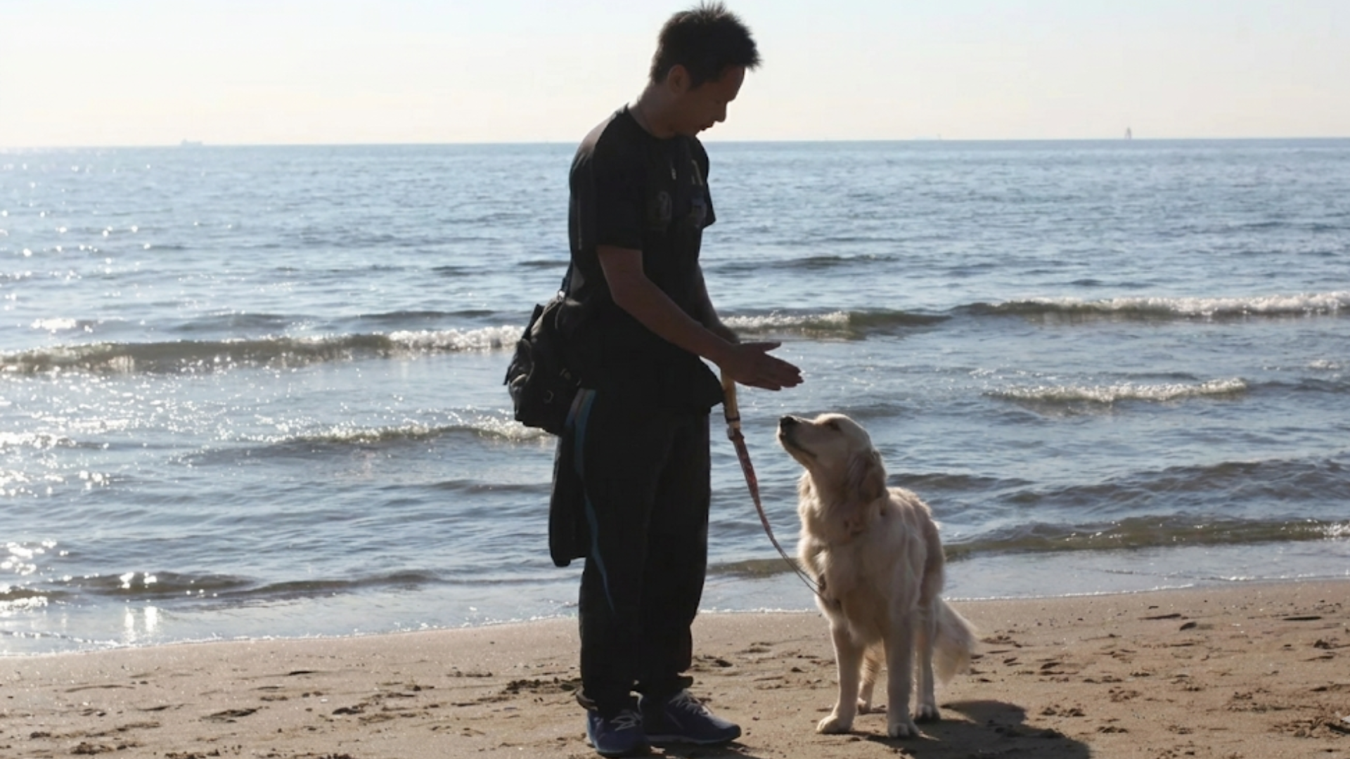 家族と愛犬の幸せな生活